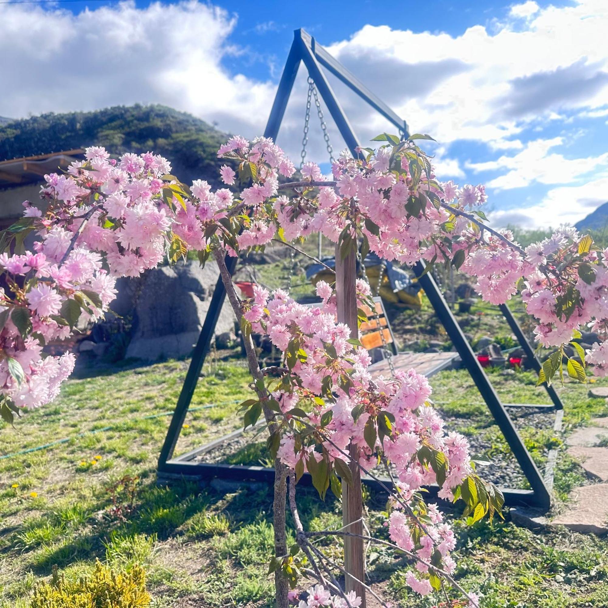 Vardzia Glamping Luaran gambar
